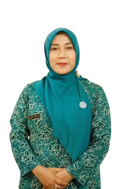 Ketua TP PKK